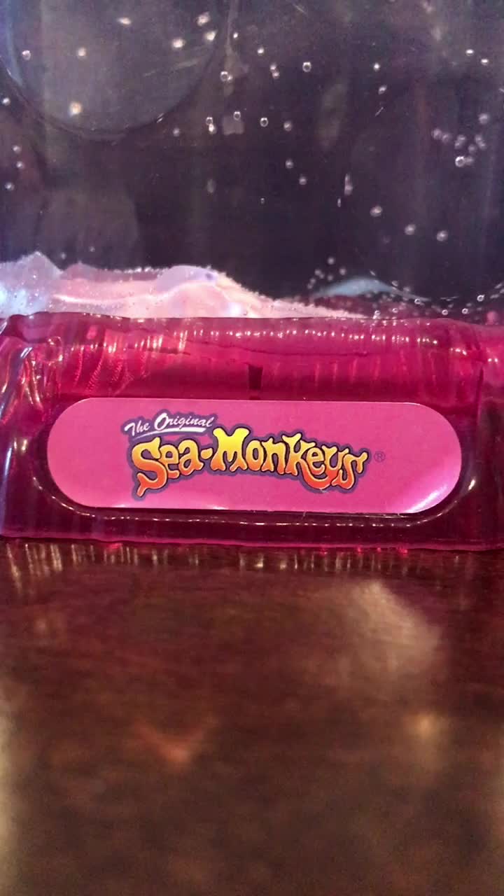 @sea monkeys