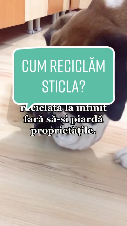 @casaluirobin