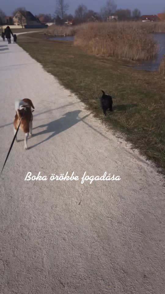 @Andii Krist&oacute;f