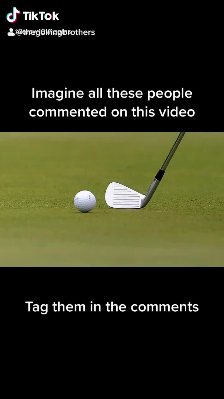 @thewynta