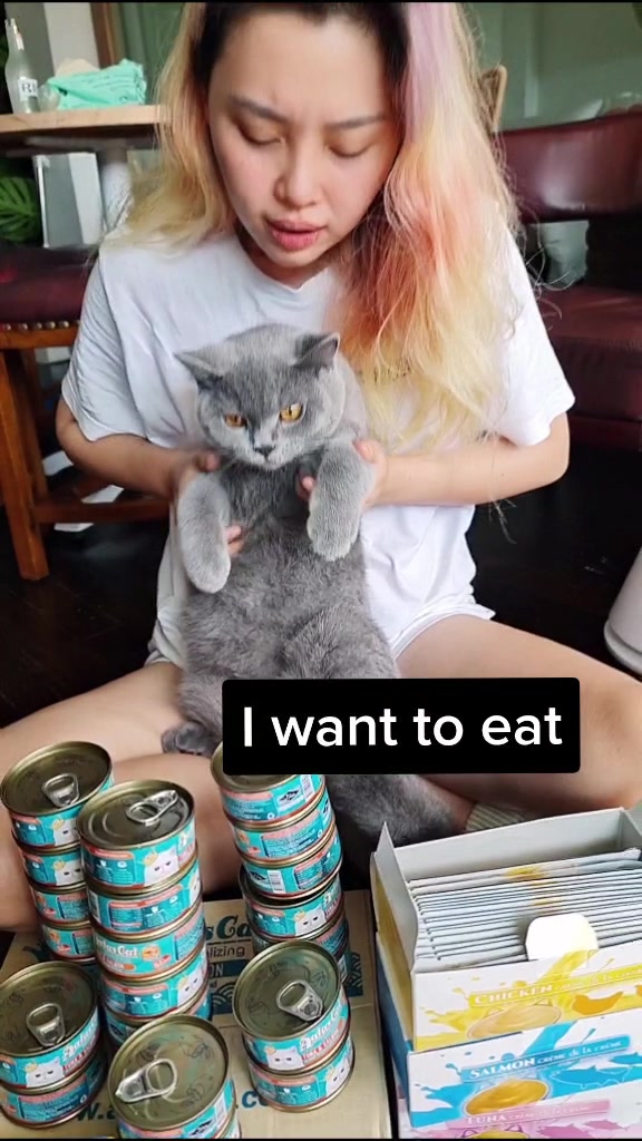 @sylsylnoc