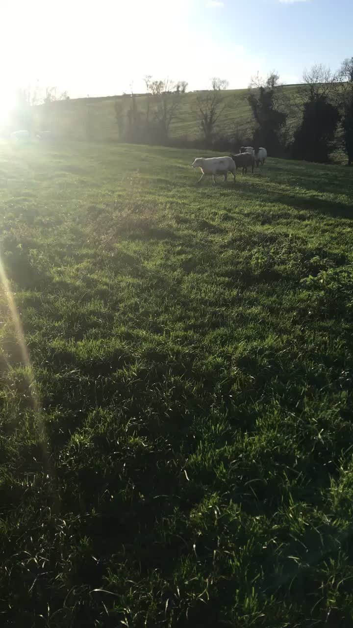 @FARMvisor
