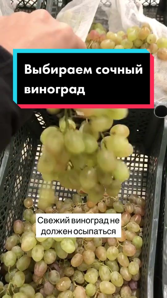 @Разрушительница мифов😎