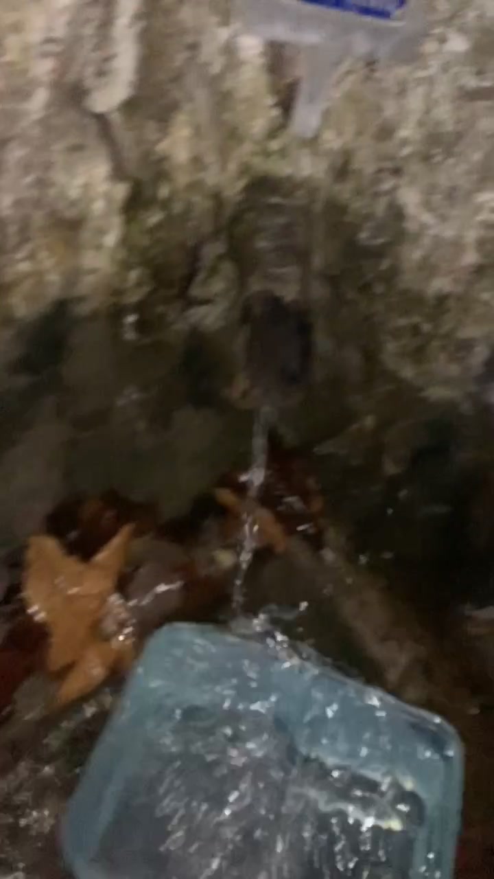 @I BEZZ&Agrave;