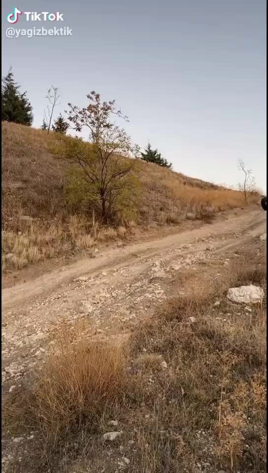 @&Ccedil;iğdem Yaşar