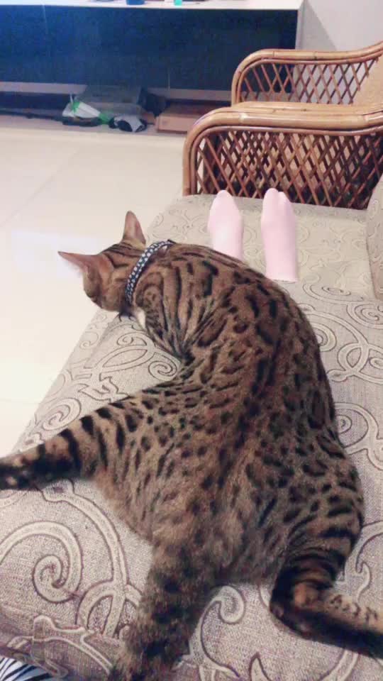 @I Mไอ้เอ็มวัดลาด
