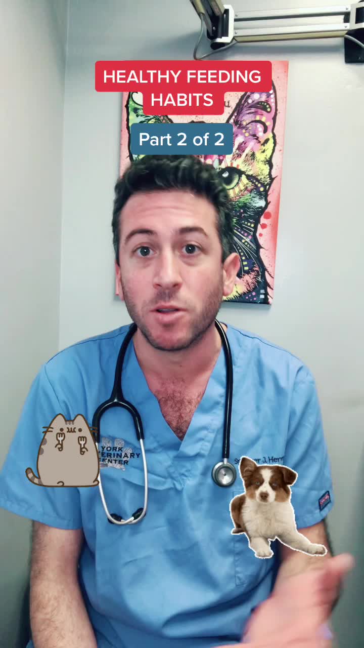 @Dr. Spencer J. Herman, DVM