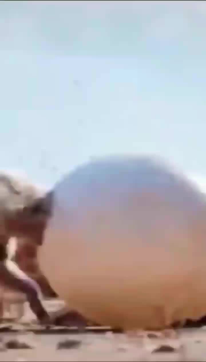 @user5397101722076