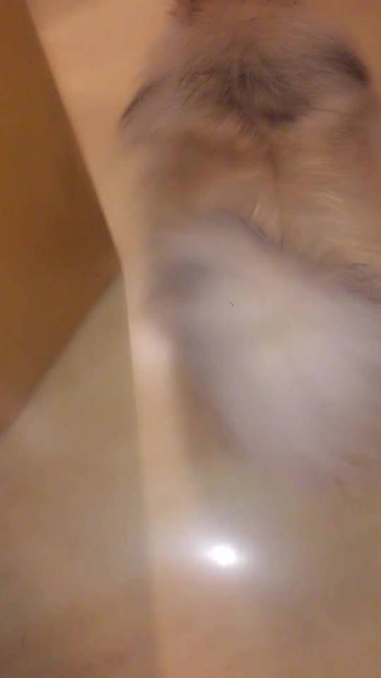 @Ich