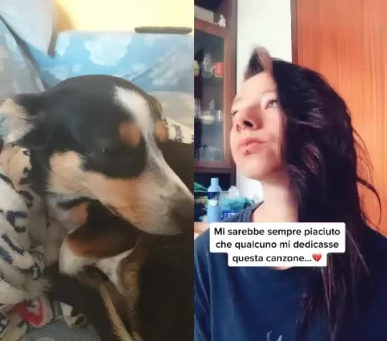 @Eleonora Trevisan
