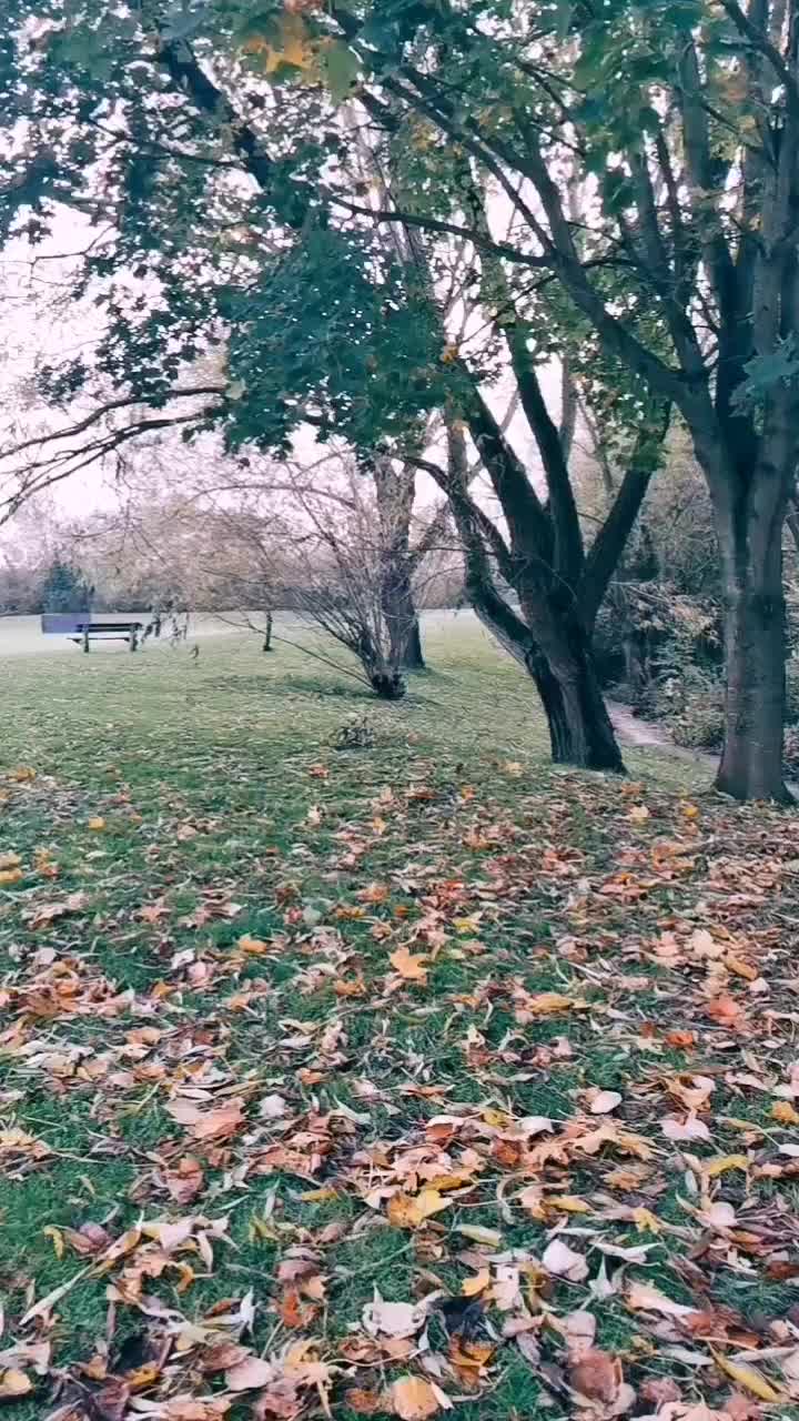 @🦋