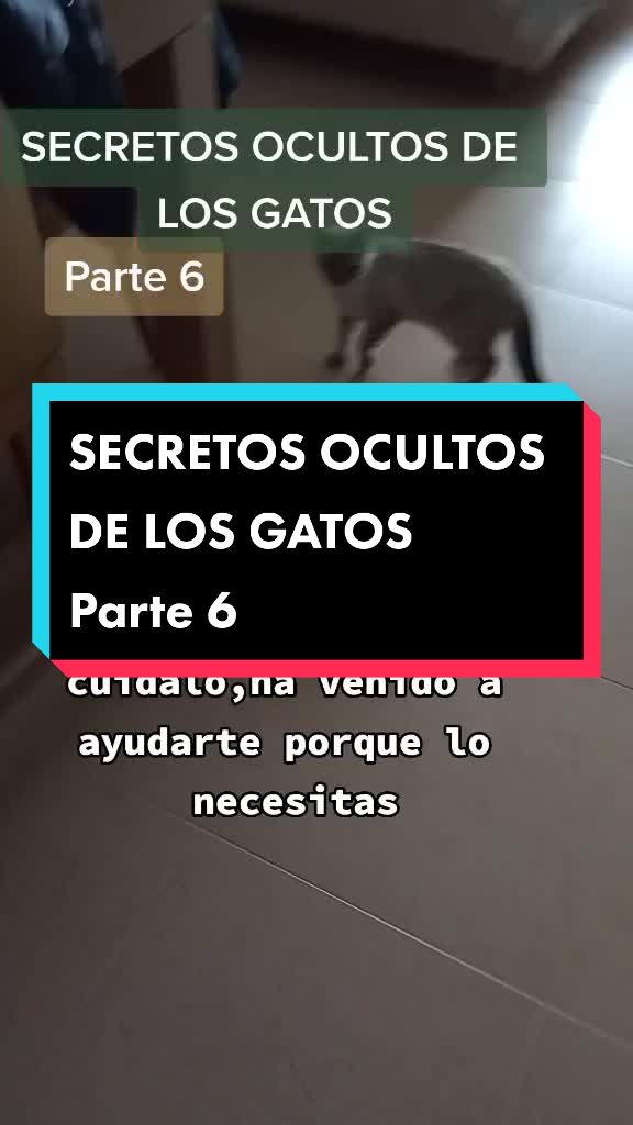 @Rosi Ramos