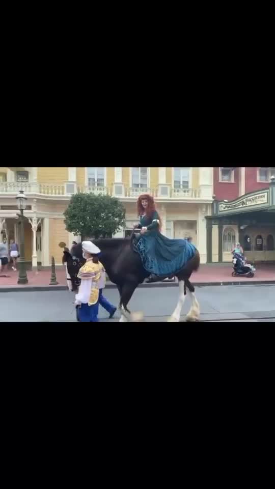 @🖇horses🖇