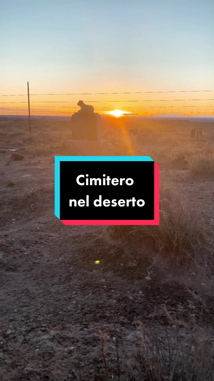 @Alessia Turri
