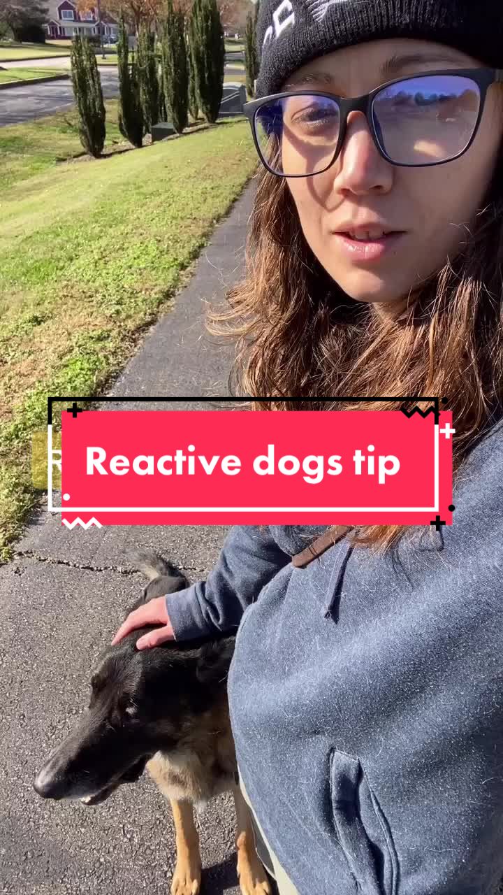@OUTBOUNDDOGS