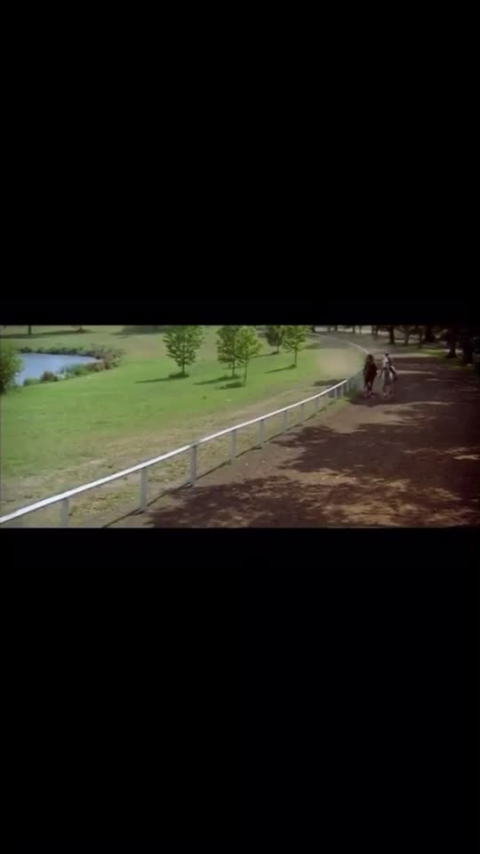@🖇horses🖇