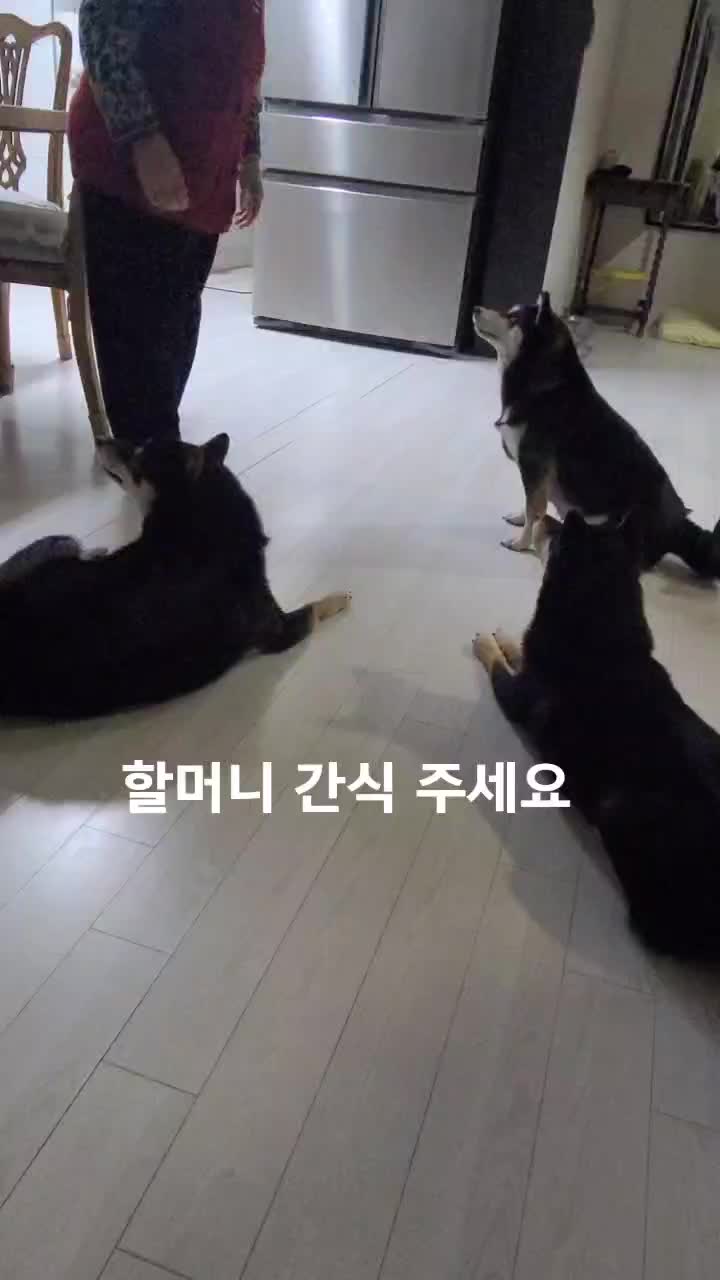 @연탄똘이