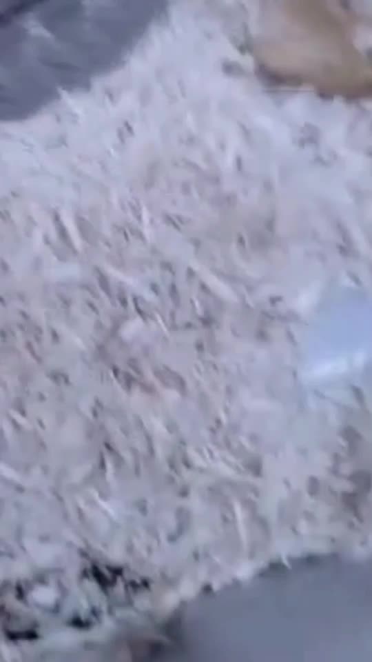 @Ph&aacute;c Th&aacute;i Anh 🥴