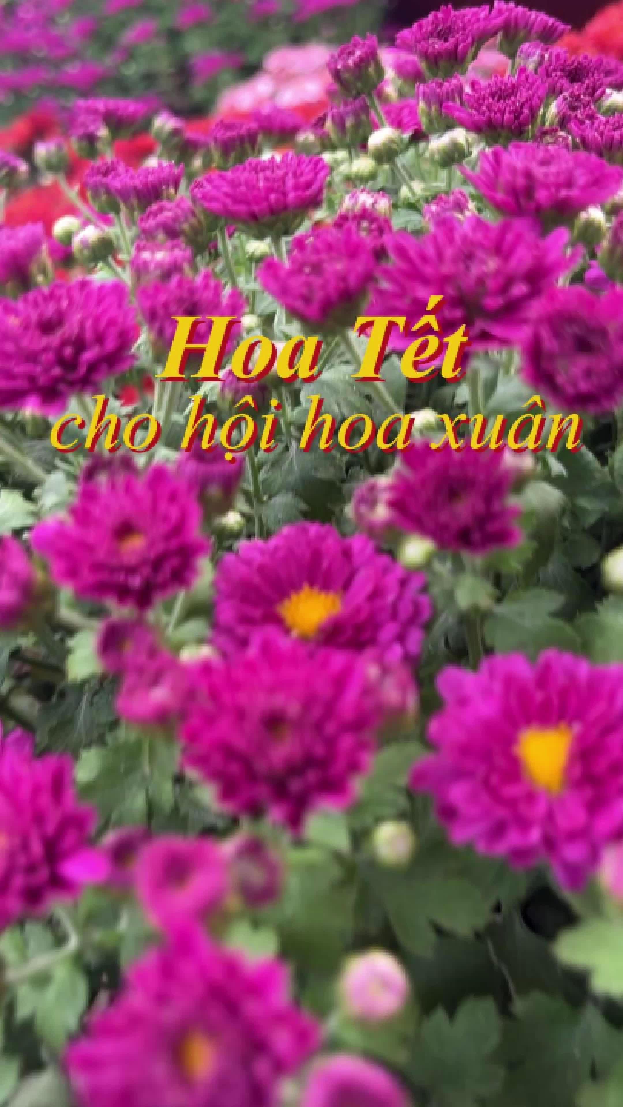 @S&agrave;i G&ograve;n Hoa