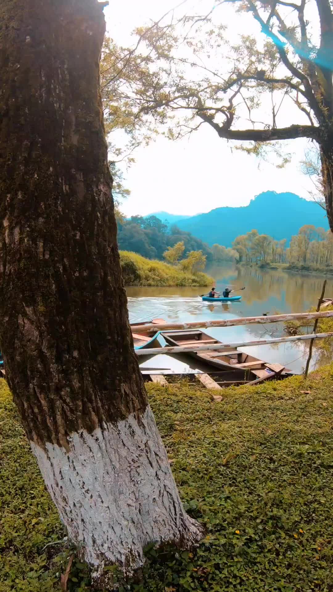 How to watch venom 3 the last dance new | watch (@3dcimaa)