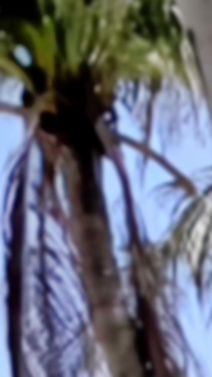 @Kim Kh&aacute;nh N&egrave; 🍓