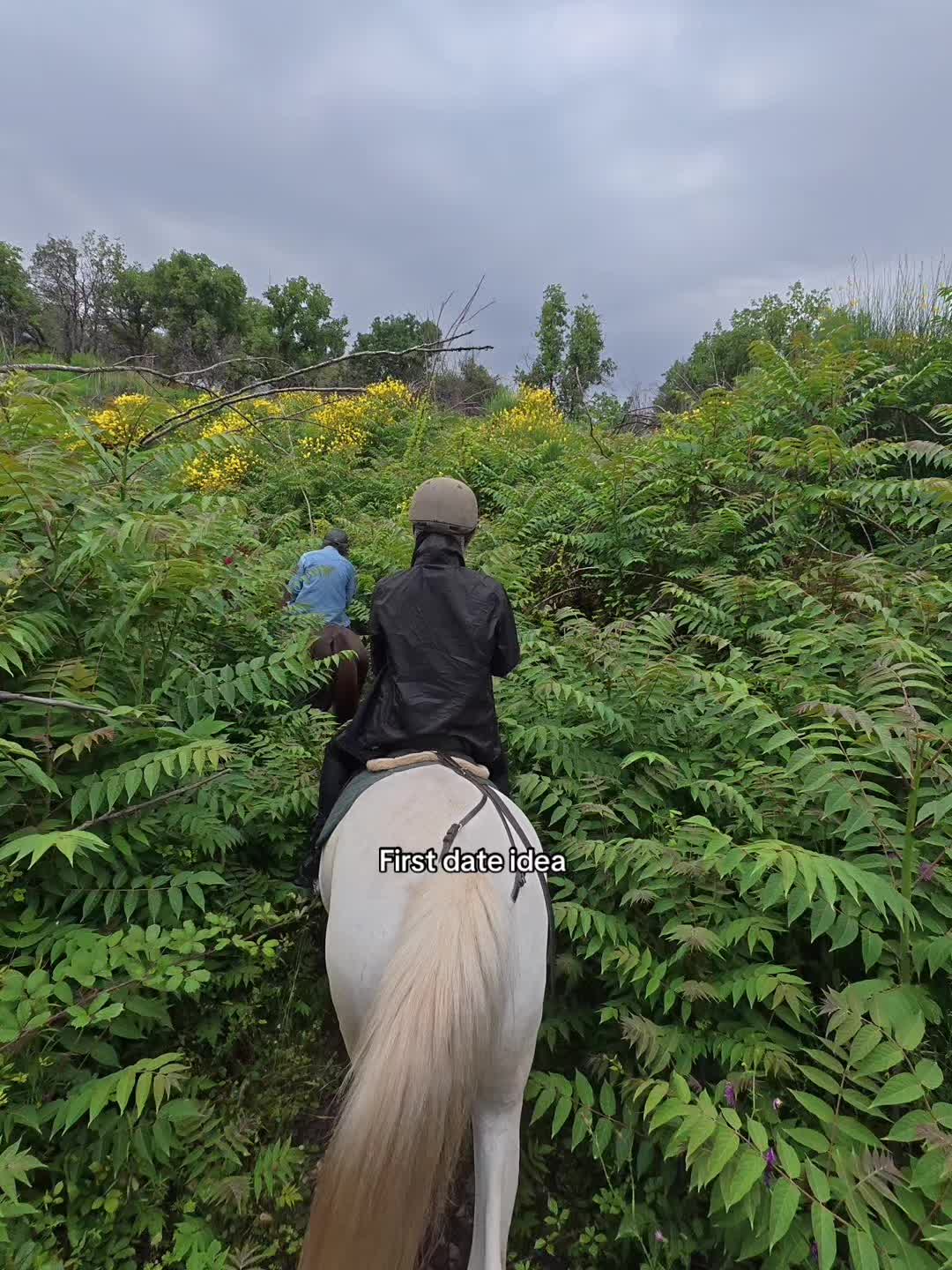 Etna horse walk #goviral #fypp #fypシ゚ Ale Garcés 🔥🖤 (@alegarces999)