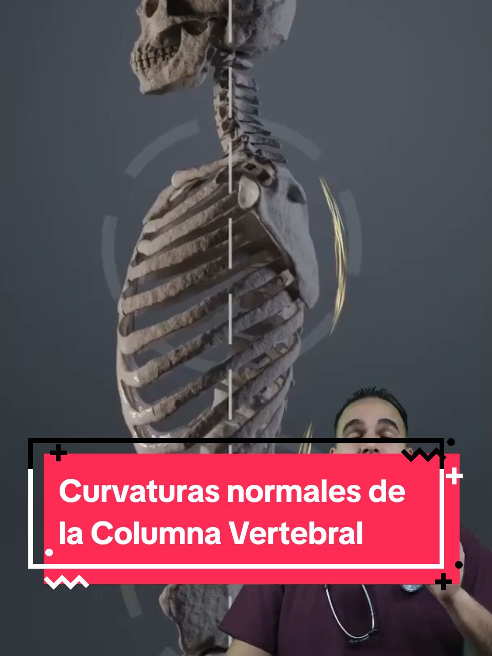 Curvaturas Normales De La Columna Doctor Borges Doctor Borges