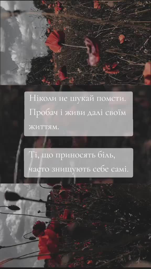 asya_little (@asya_little) - Urlebird