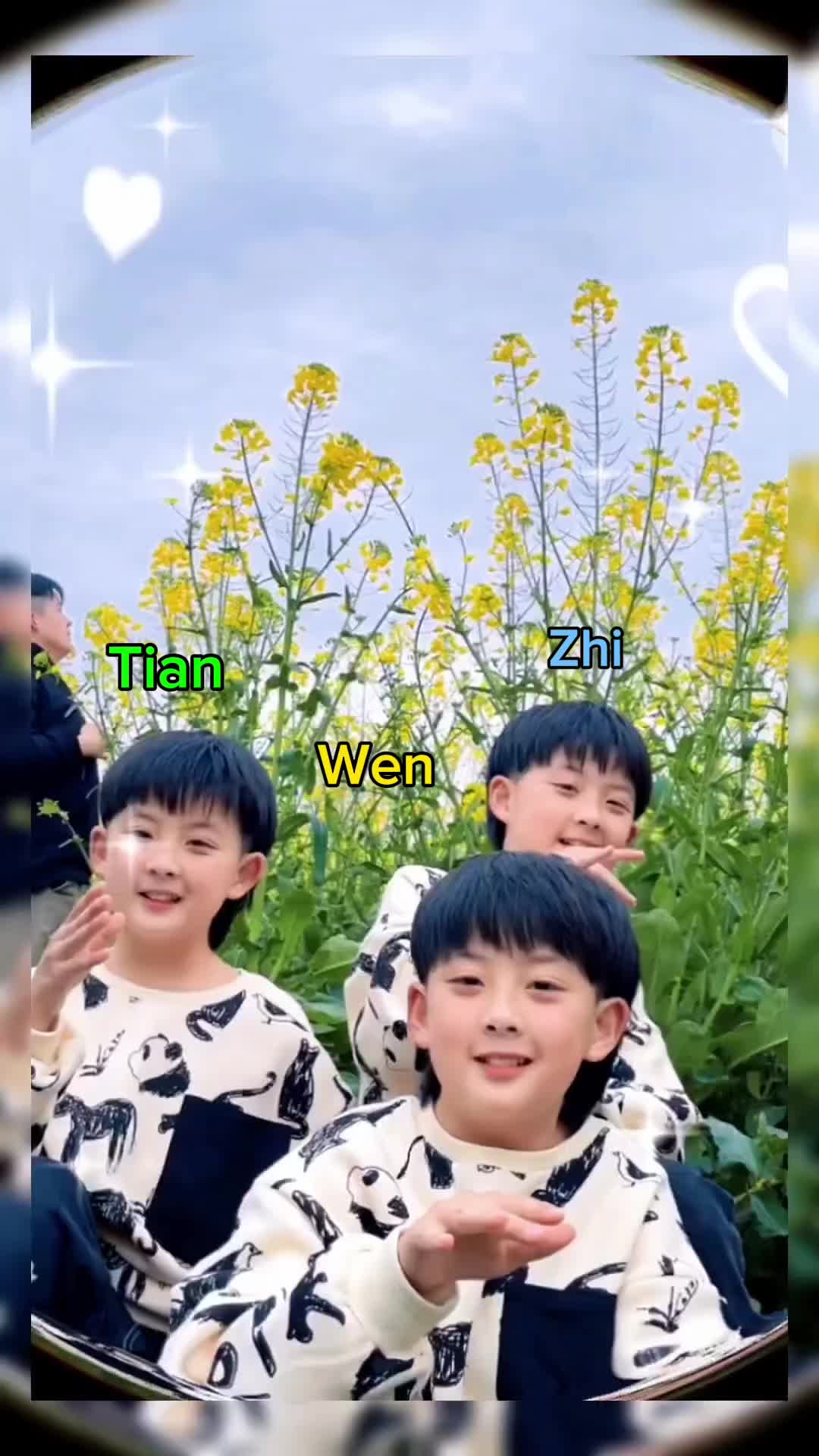 Wen 3. Wen 3