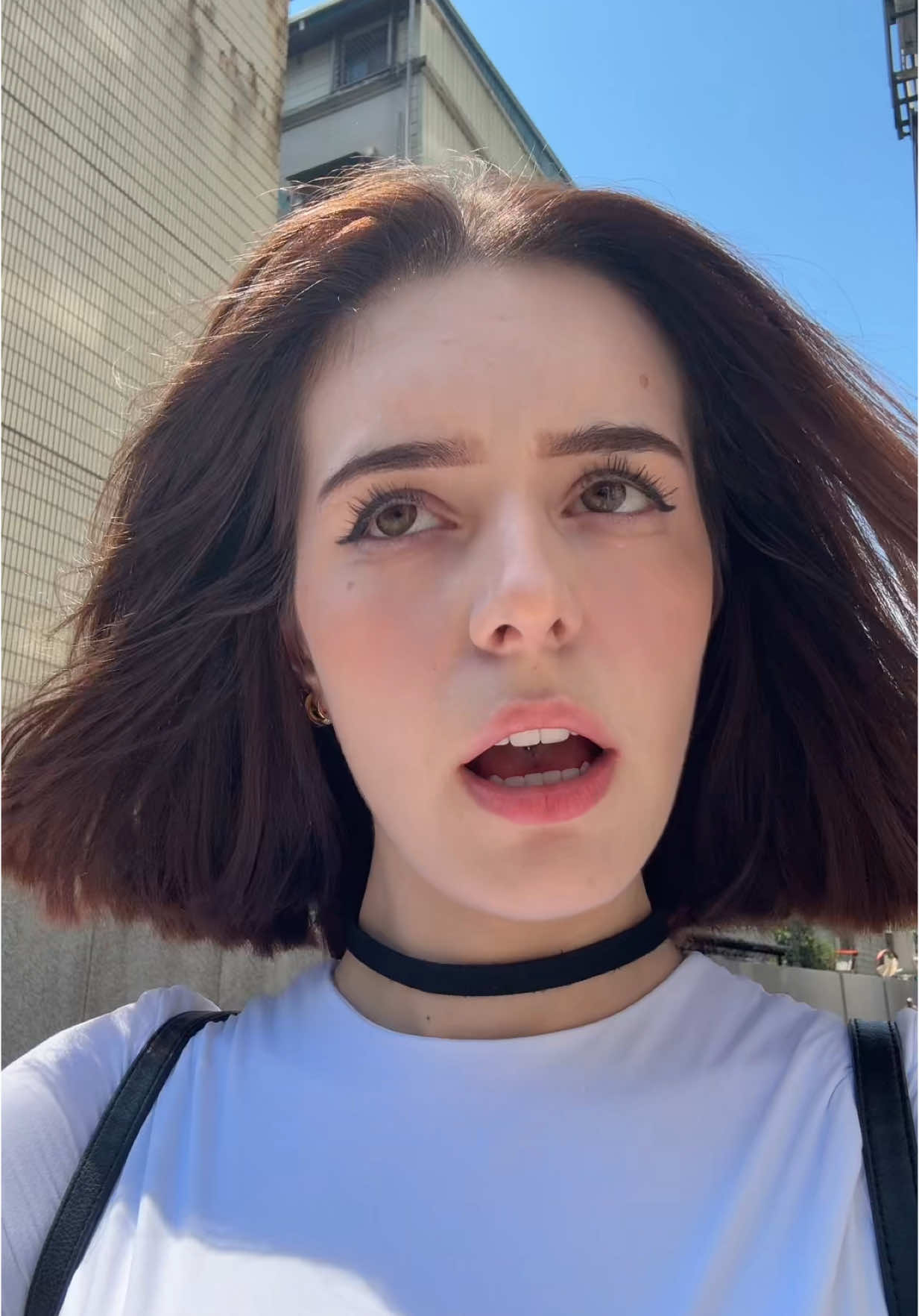 mmashalefterr (@mmashalefterr) - Urlebird