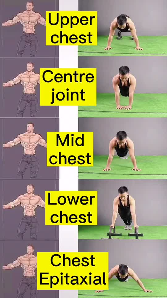 Chest Spring Out Chest out and abdomen in,all round | Fitnessfrenzy (@fitnessfrenzy1)