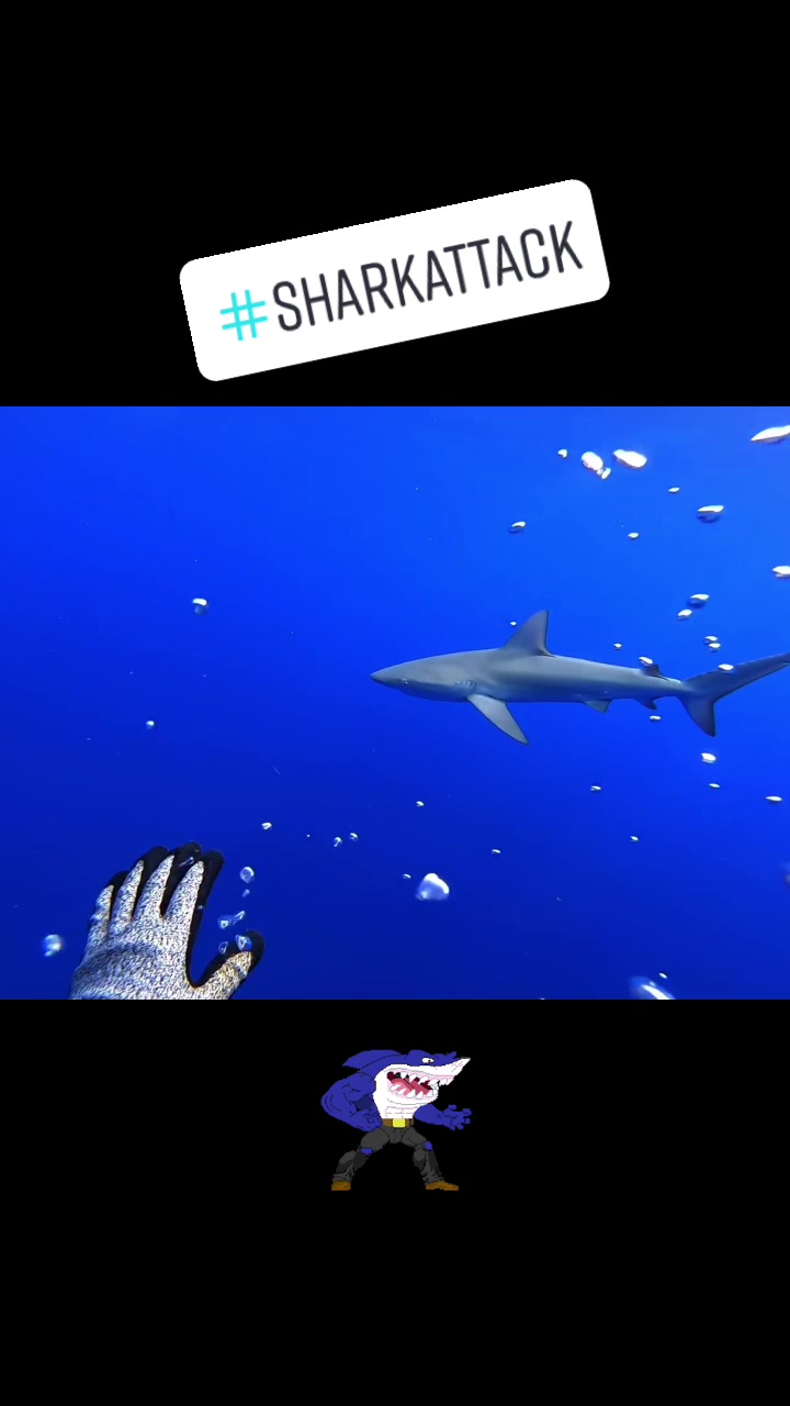 @kairosspearfishing