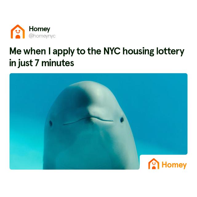 @Homey NYC