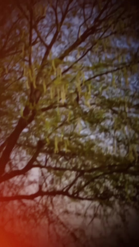 Musa Rajpoot خیر کوئی بات نہیں۔ ️🩹🥀 | 𝑴•𝑼•𝑺•𝑨• ️🩹 🏽 (@musa_rajpoot_028)