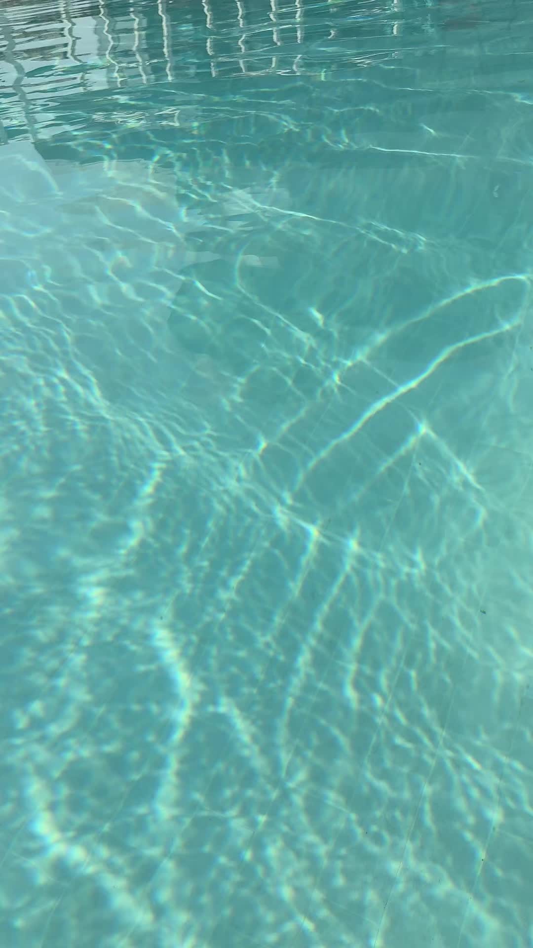 Yoloschnitzel (@yoloschnitzel) - Urlebird