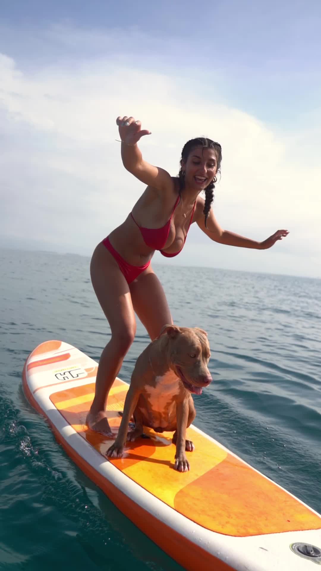 Bufalika (@bufalika) - Urlebird