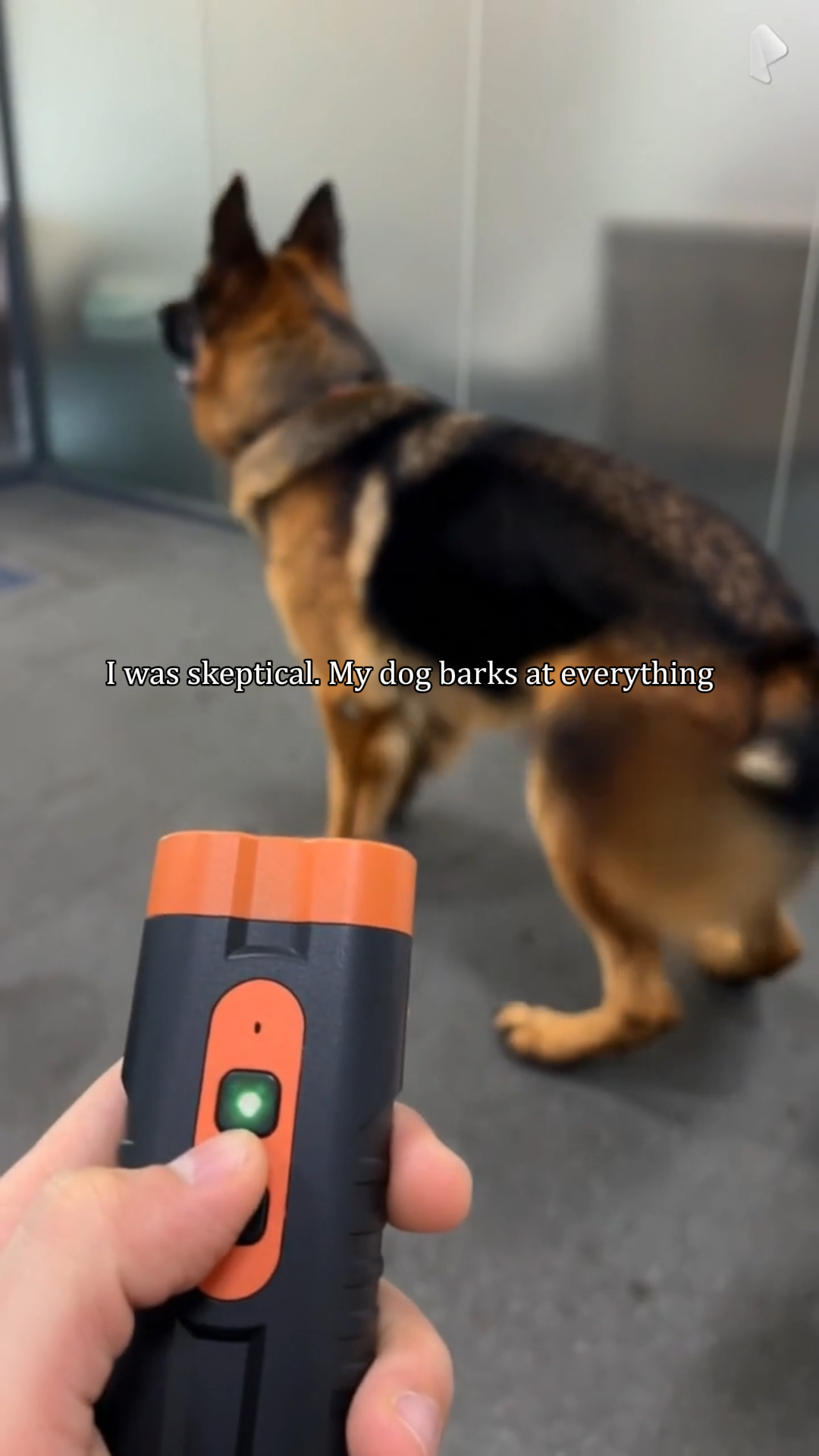@pawpawchum