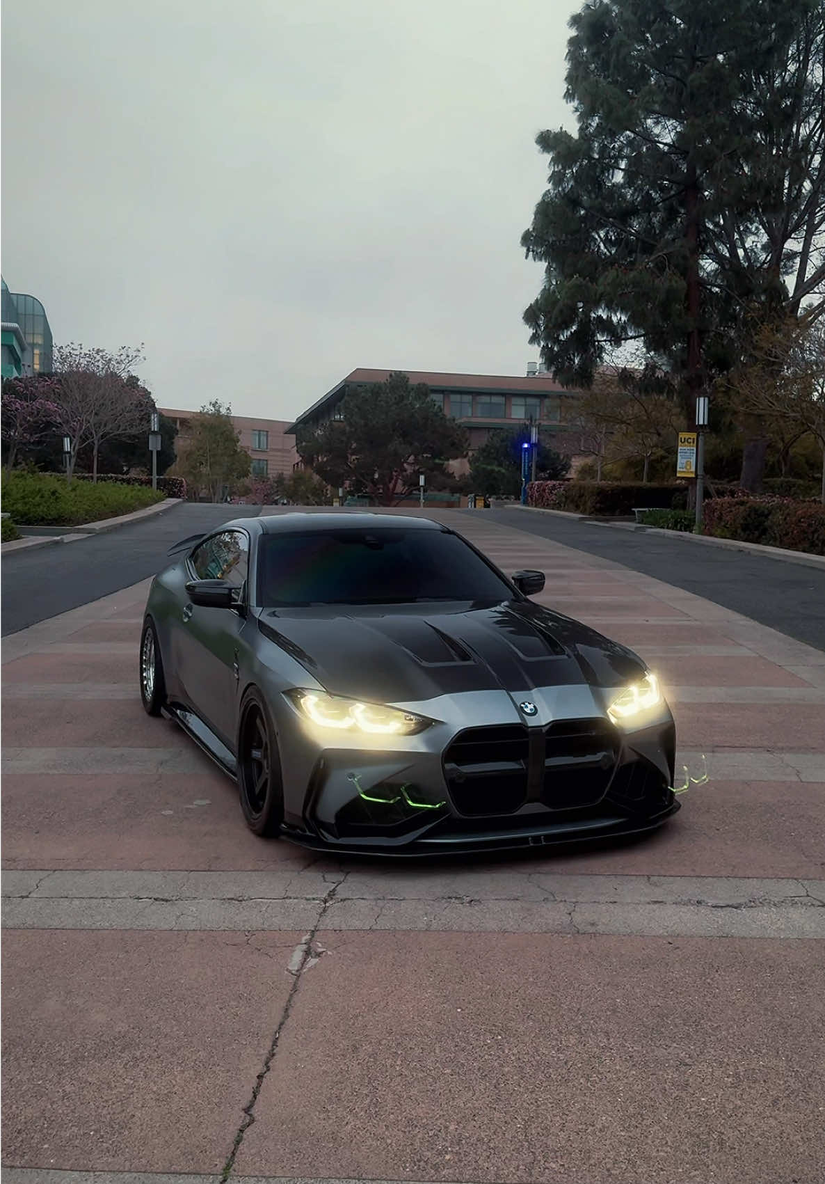 Bimmer Plug (@bimmerplug) - Urlebird