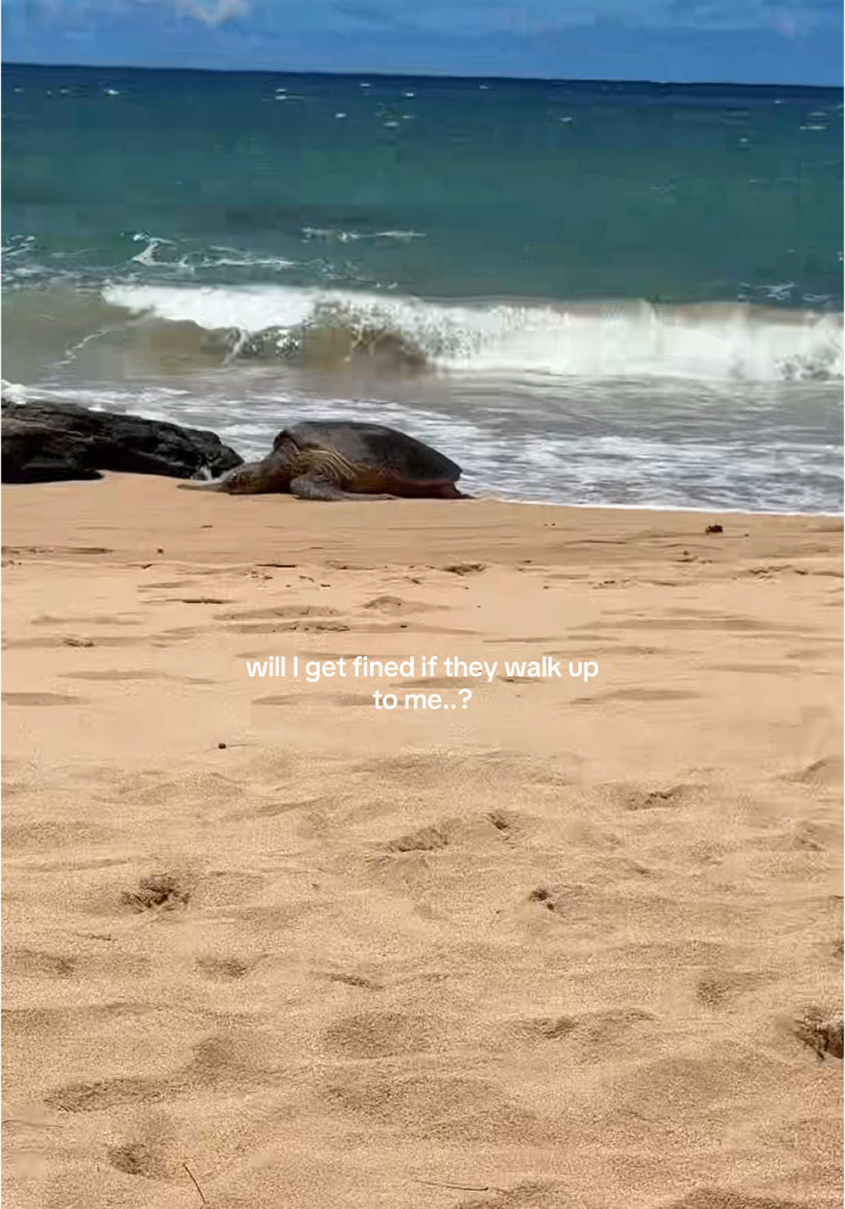 Erica Lovely (@erica_lovelyyy) - Urlebird