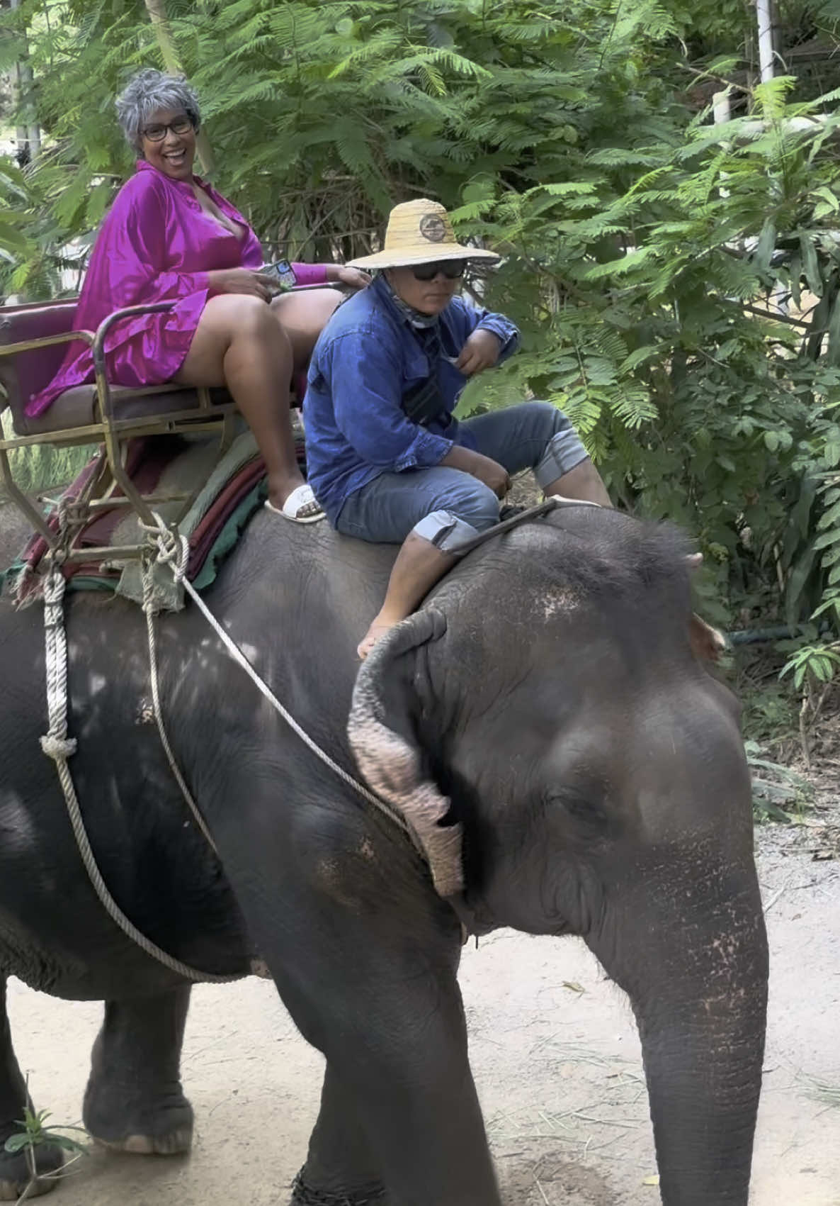 Granny Go Dumb (@grannygodumbofficial) - Urlebird