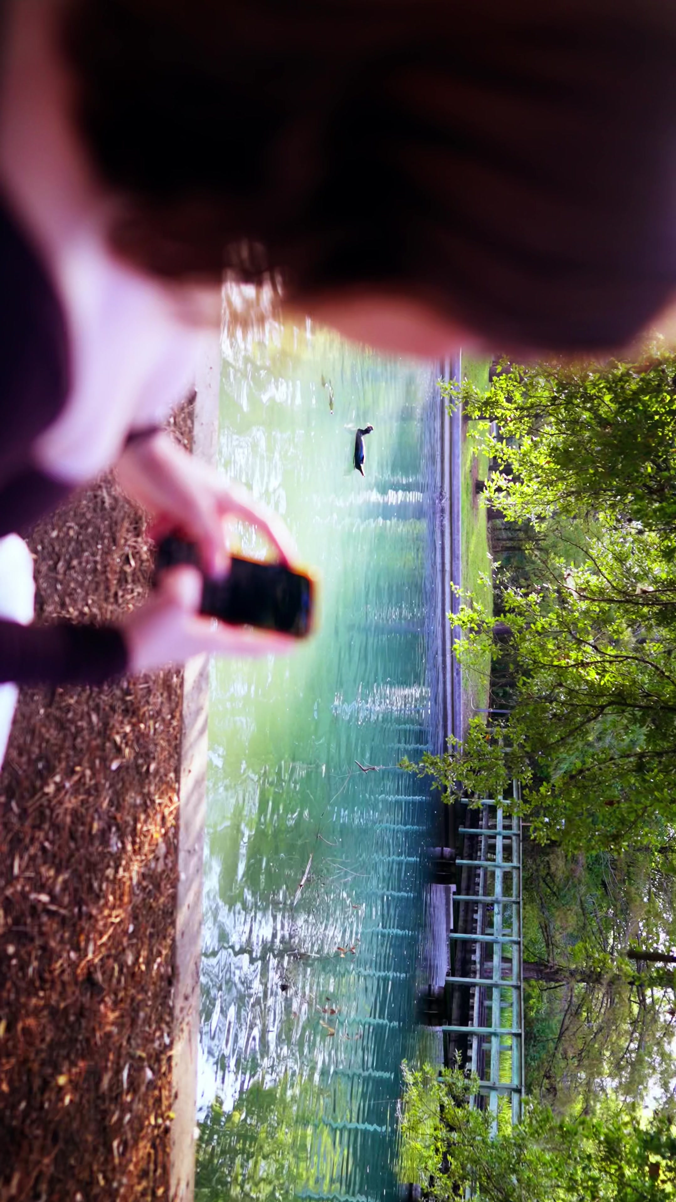 Kari (@musemered) - Urlebird