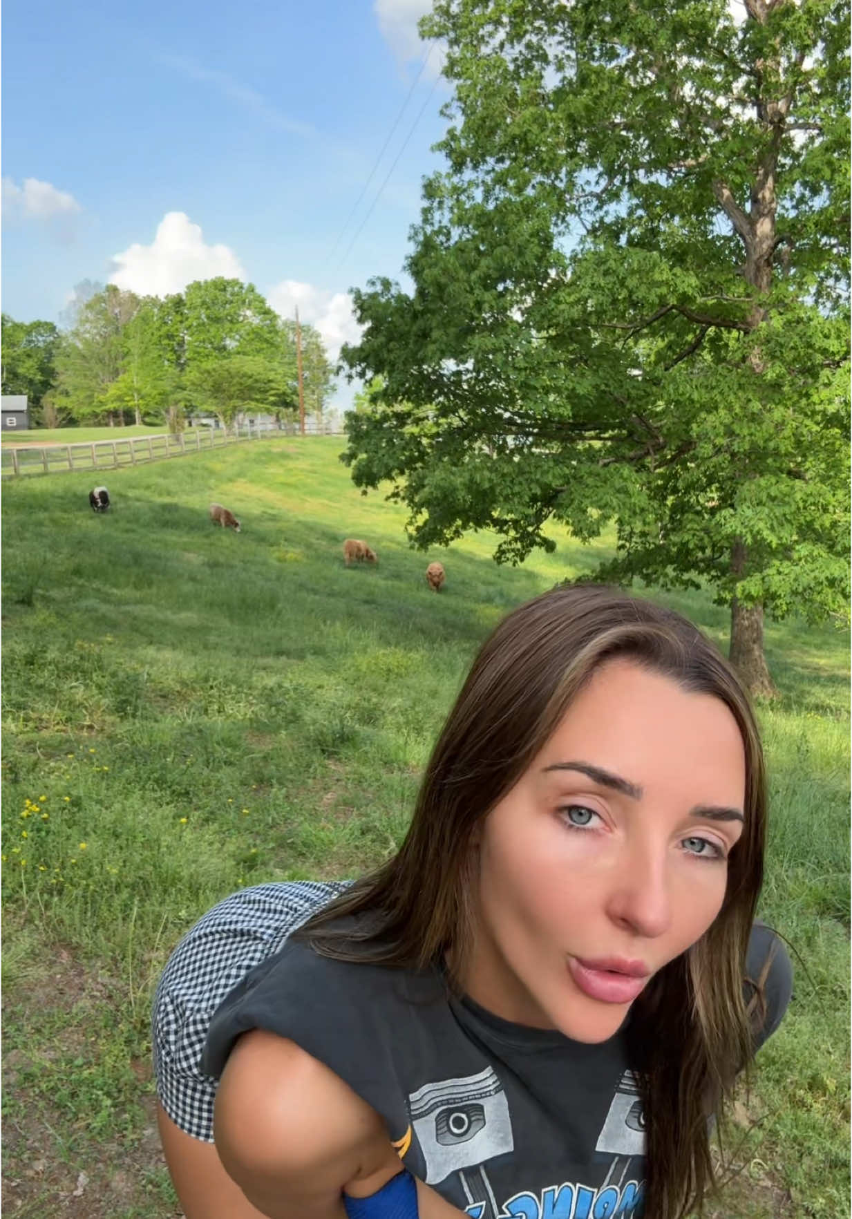 applying to be on the next farmer wants Briana Armbruster