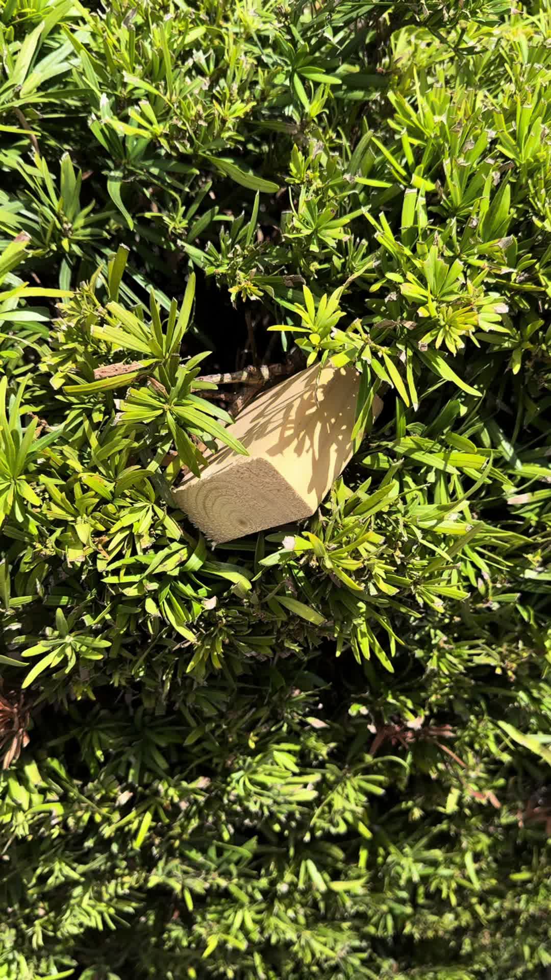 Honey's Old House (@honeysoldhouse) - Urlebird