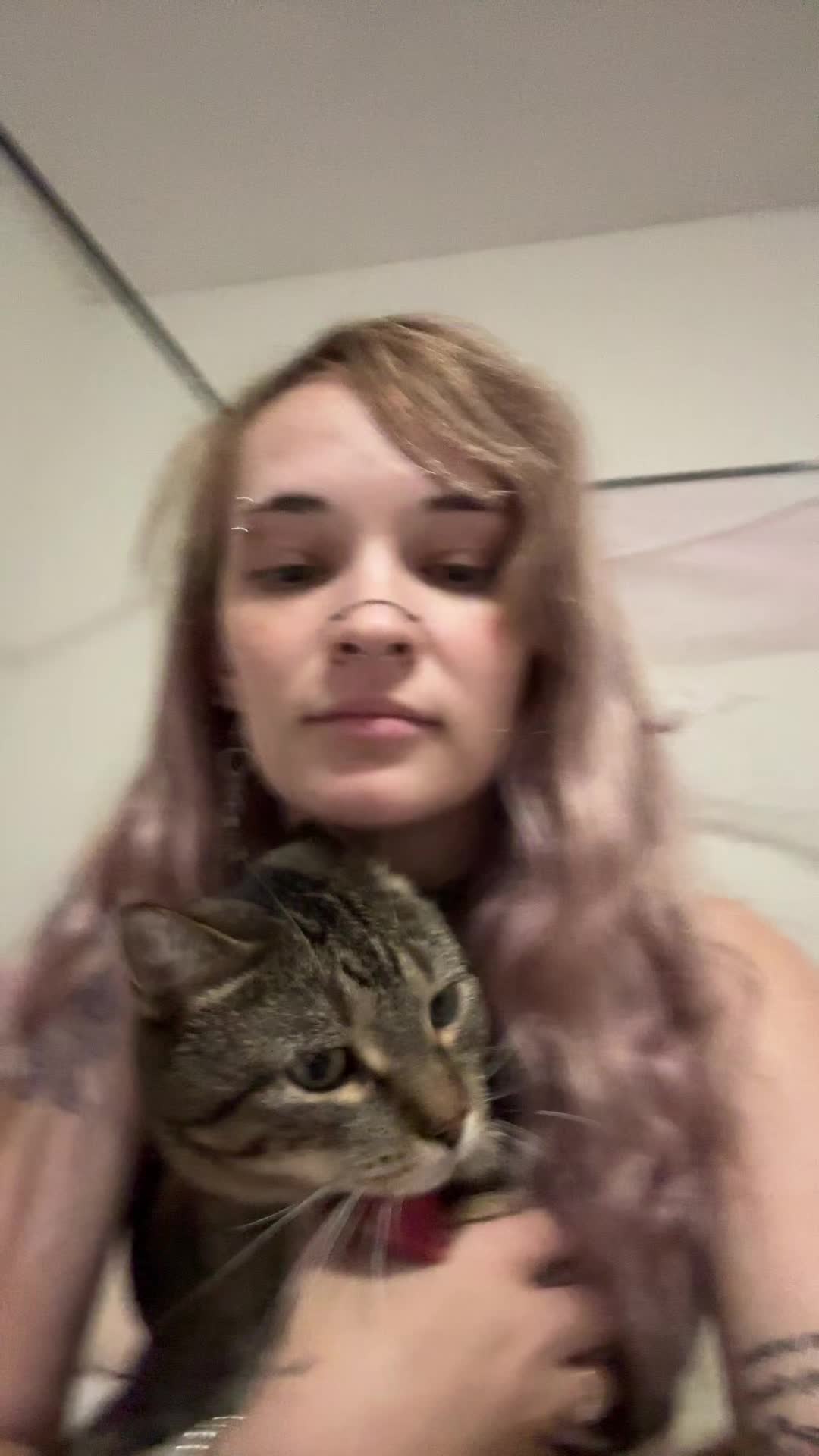 1.31K me gusta, 3 veces compartido, 8 | Arin Knox (@arinsquirrel98)