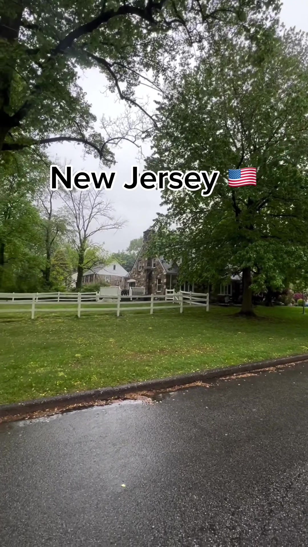 Spooky Island Demon Enjoying It's | Spooky Island Lover