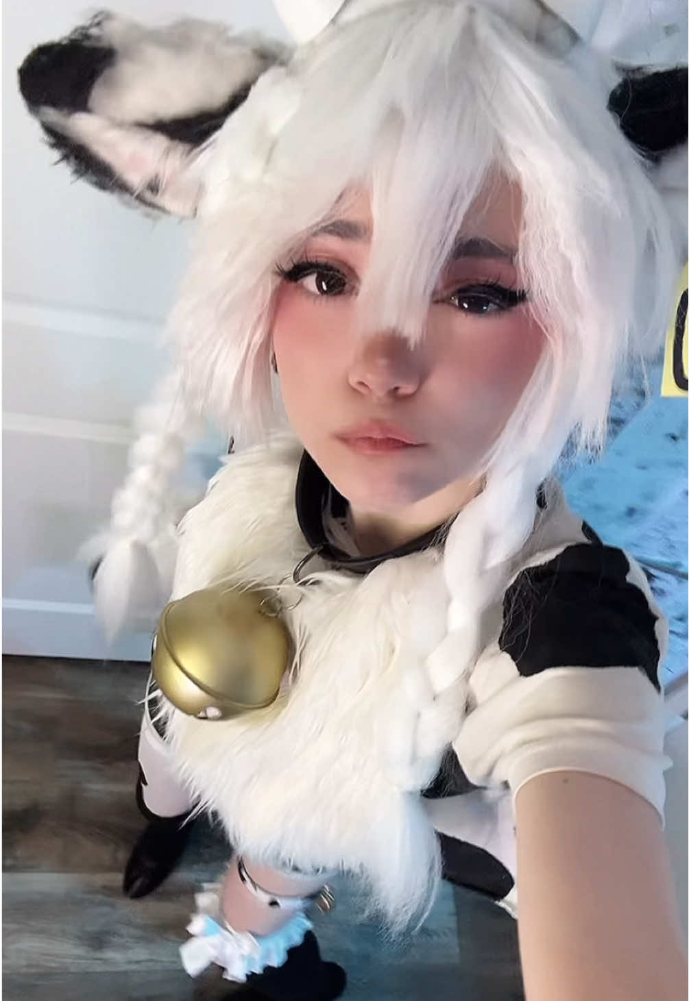 Moo Moo 🐮 (@mooimimo) - Urlebird