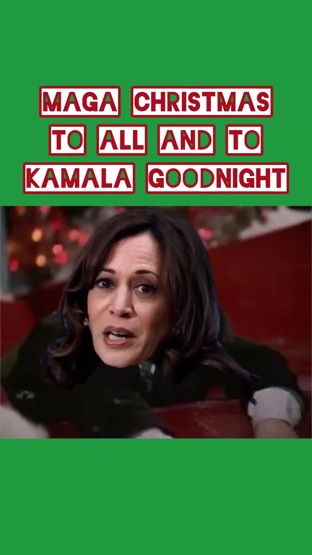🦄 @libsmemecentral - Liberal Meme Central - TikTok