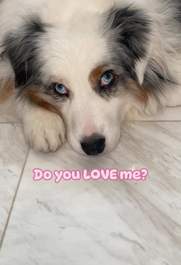 2.78K likes, 33 shares Jenny Alves (@jennywithad)