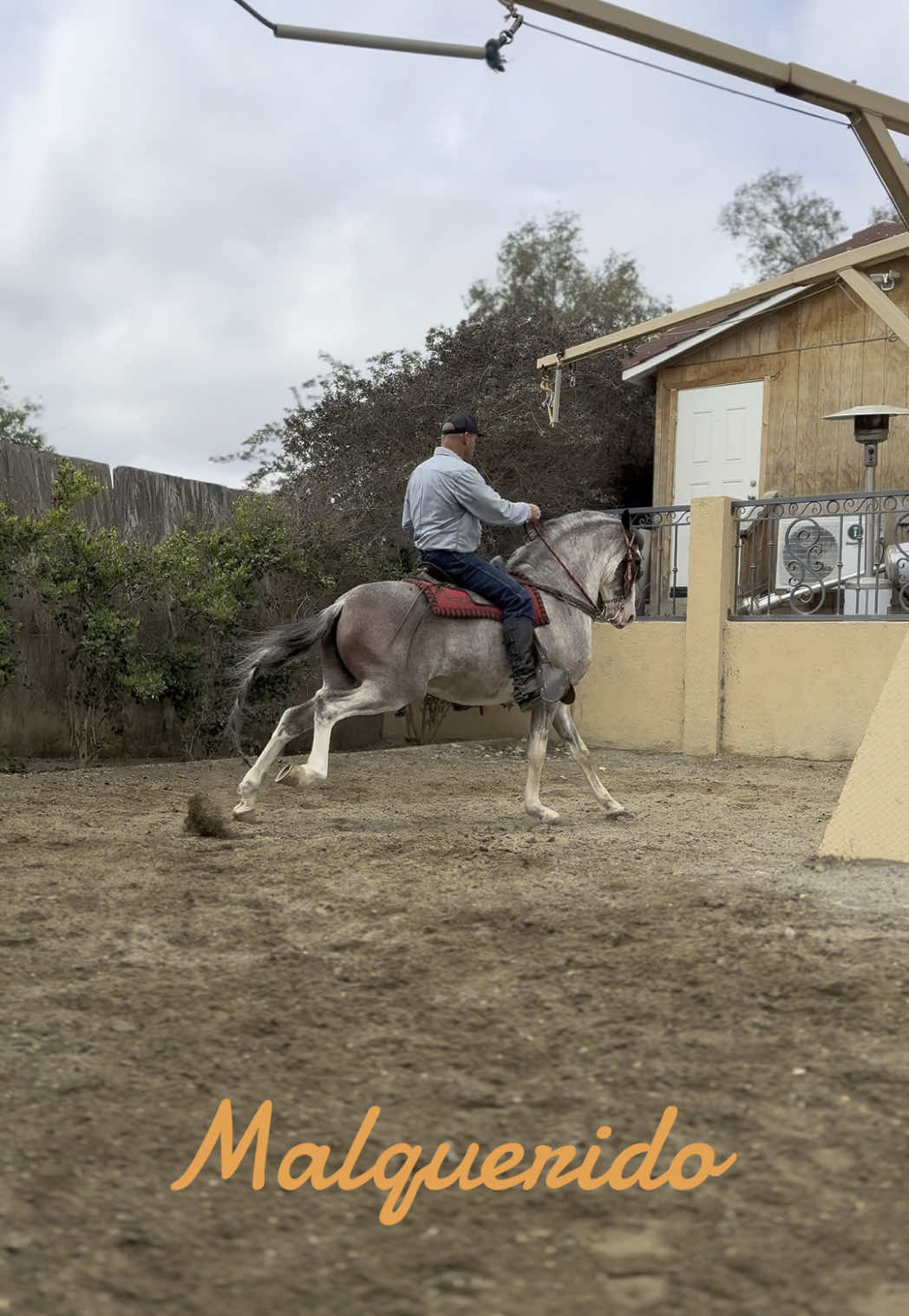 #comenta #answer #galamorgan #lareceta Gala Morgan (@gala.morgan)