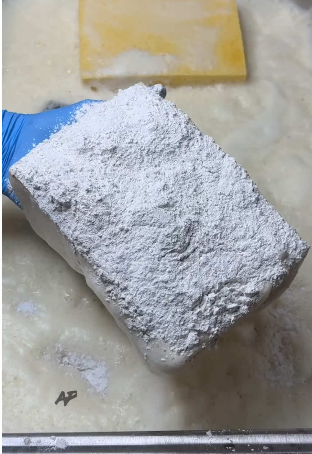 spooky szn🥰 | Lexi (@ohhbabyitslexi)